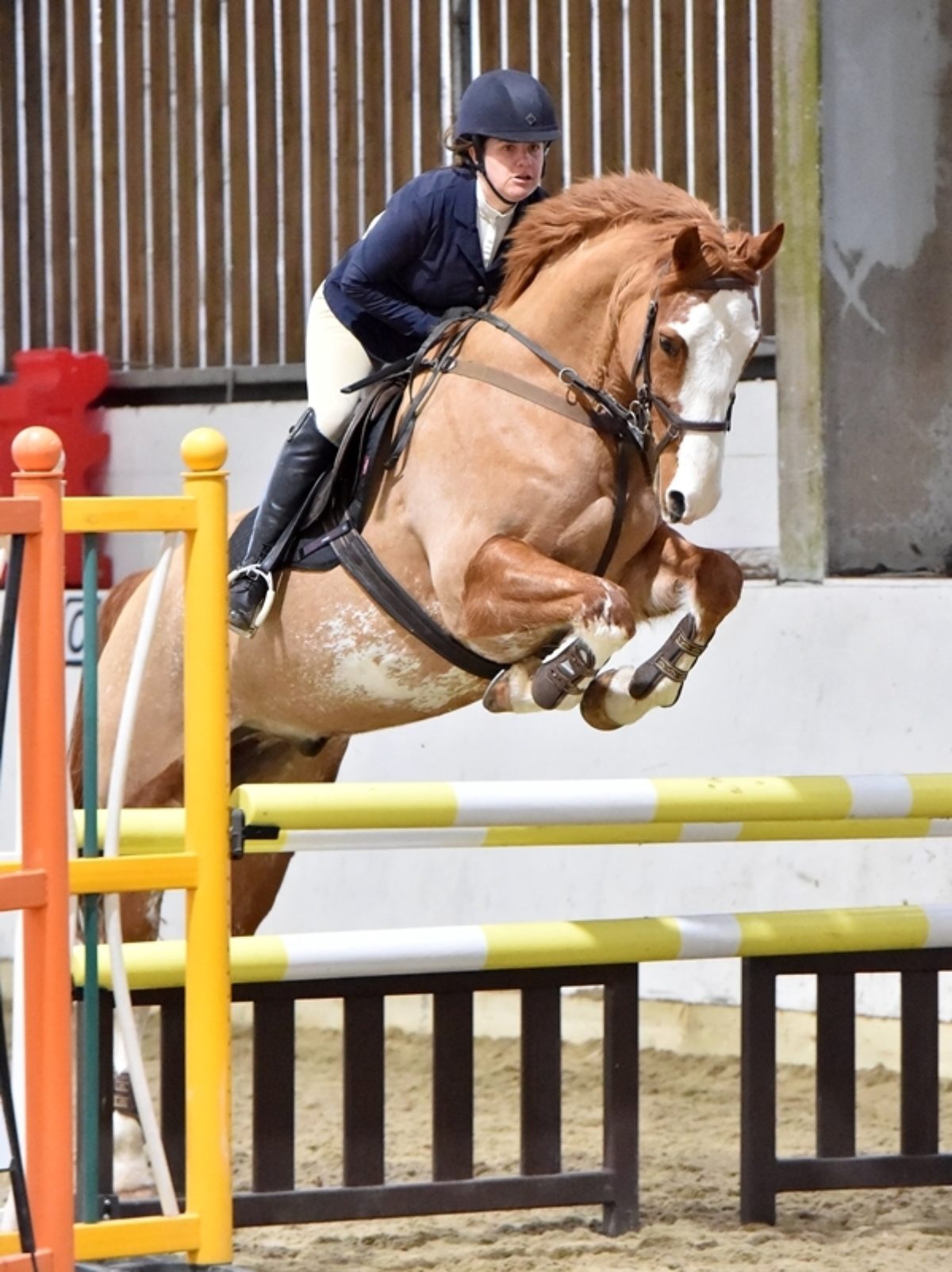 3rd July Showjumping - Competitor Information