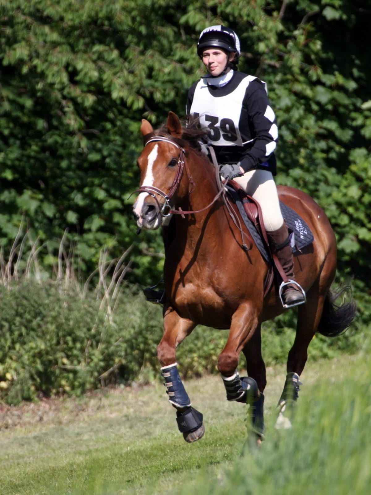 HWRC was formed in 1989 and has grown to be a medium sized Affiliated Riding Club with both a Junior and a Senior membership